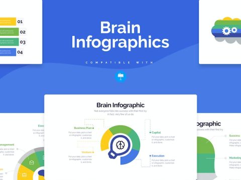 Business Brain Keynote Infographics GLKH7SW