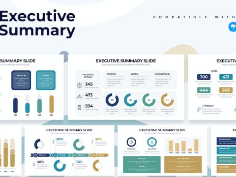 Business Executive Summary Keynote Infographics 49AJLHL