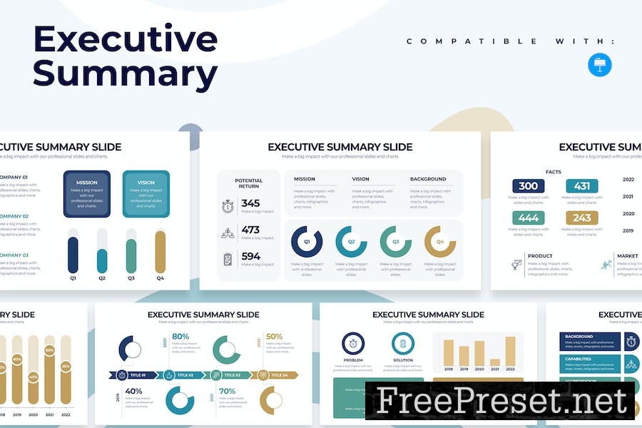 Business Executive Summary Keynote Infographics 49AJLHL