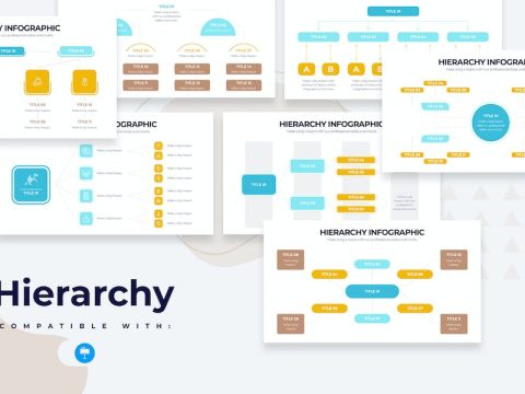 Business Hierarchy Keynote Infographics NH2WYKH