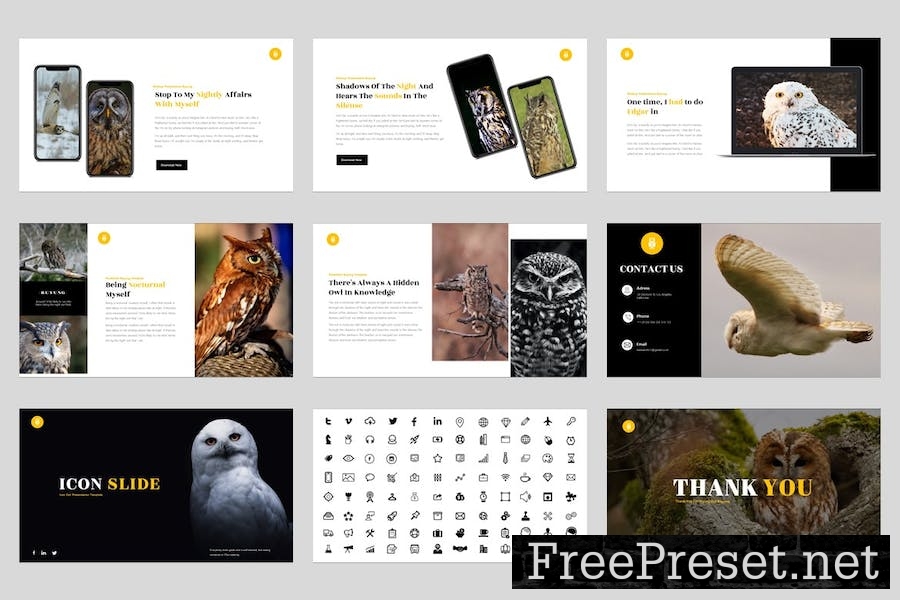 Buyung - Bird Animal Keynote Template P9F2BCJ