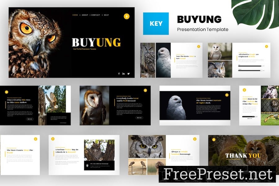 Buyung - Bird Animal Keynote Template P9F2BCJ