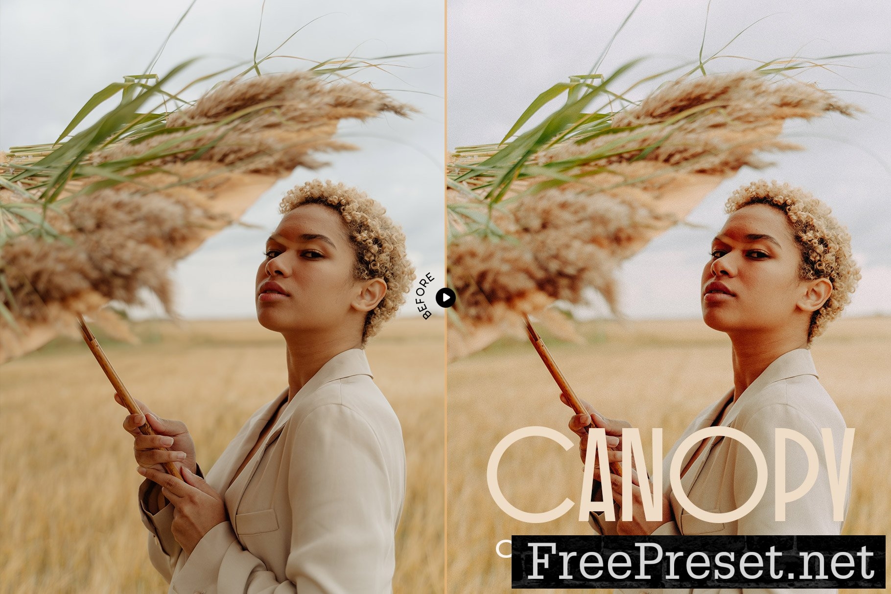 Canopy – 12 Earthy Lightroom Presets 7249254