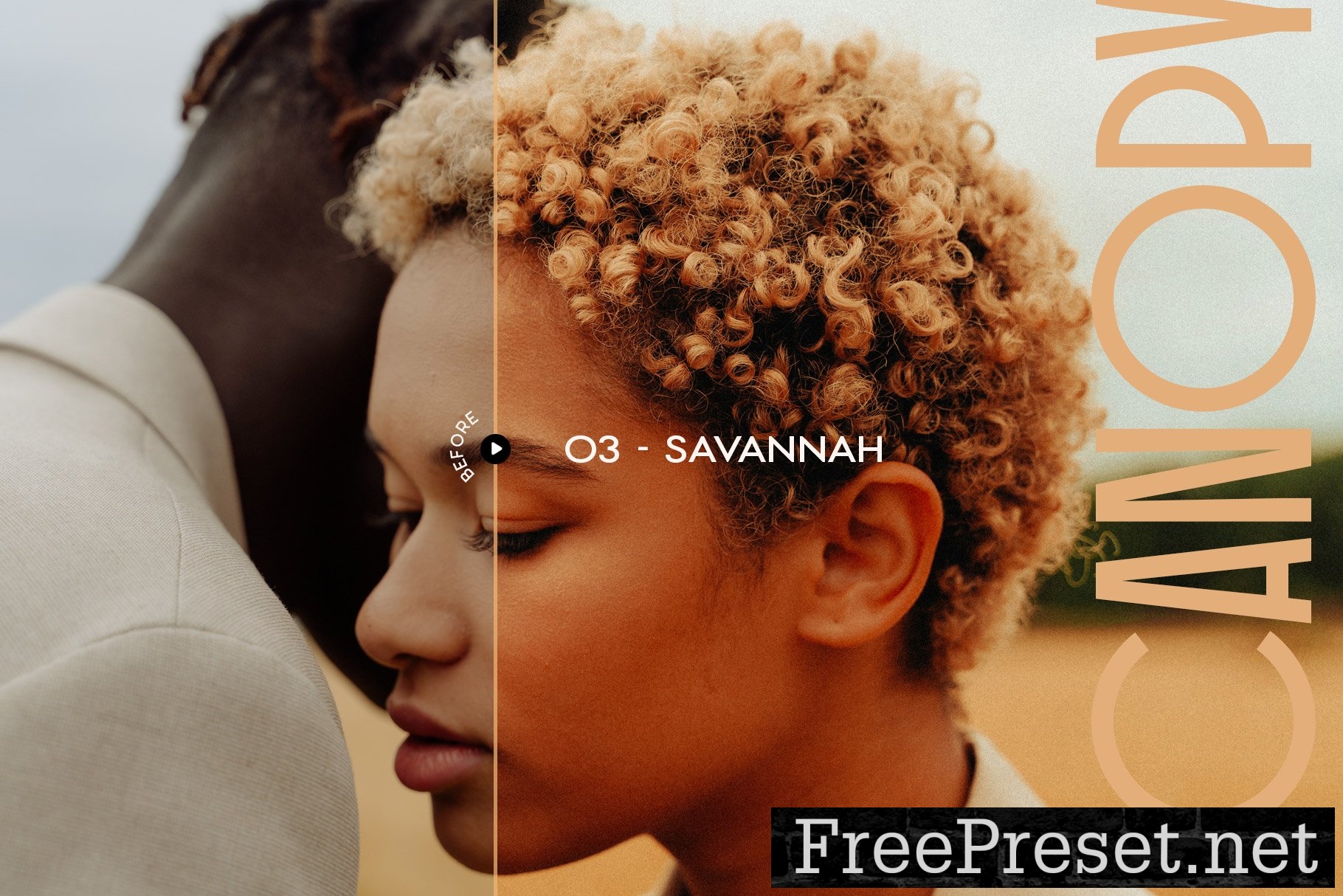 Canopy – 12 Earthy Lightroom Presets 7249254