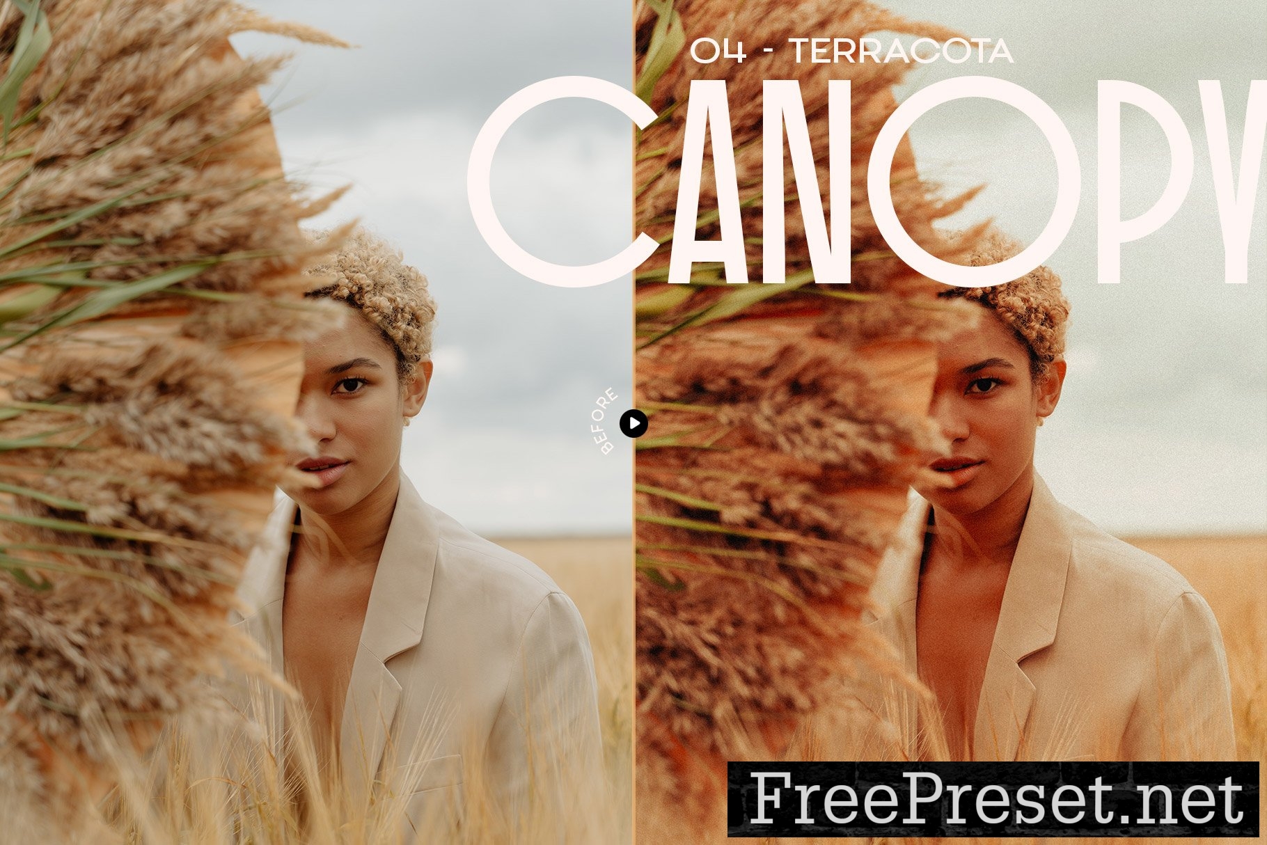 Canopy – 12 Earthy Lightroom Presets 7249254