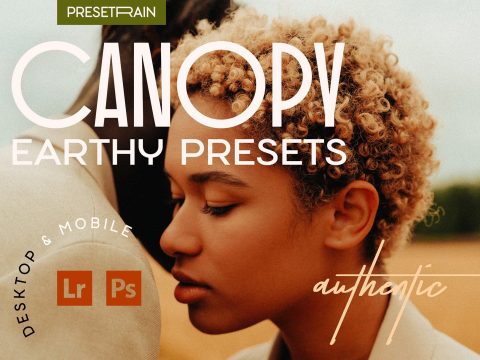 Canopy – 12 Earthy Lightroom Presets 7249254