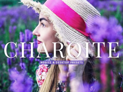 Charoite Pro Lightroom Presets 10853057