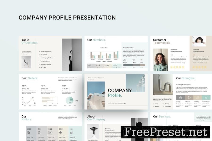 Company Profile Google Slides Presentation VQAH5DJ