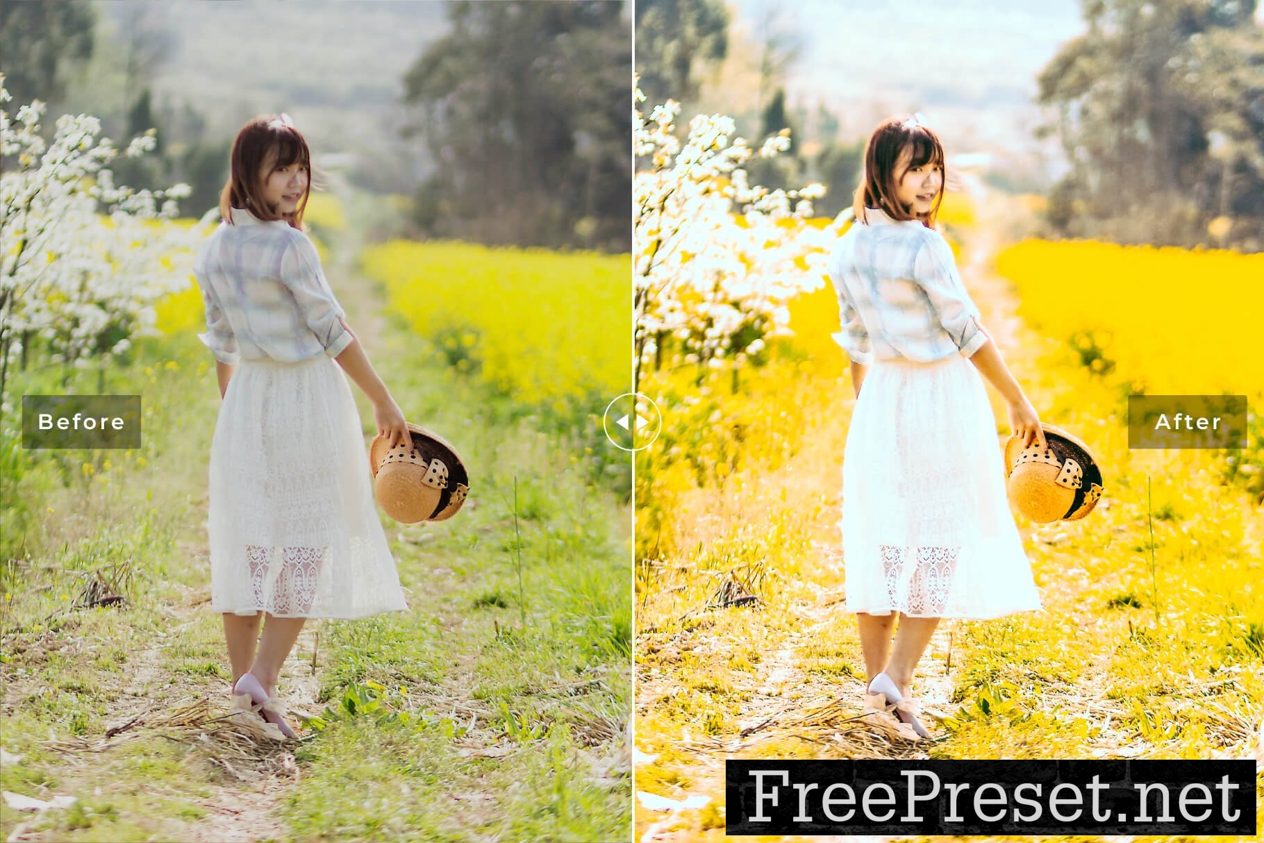 Danburite Pro Lightroom Presets 10881734