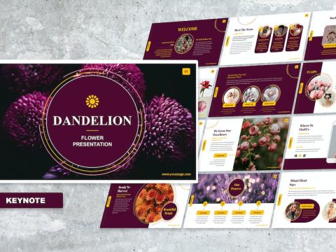 Dandelion - Keynote WCB95GG