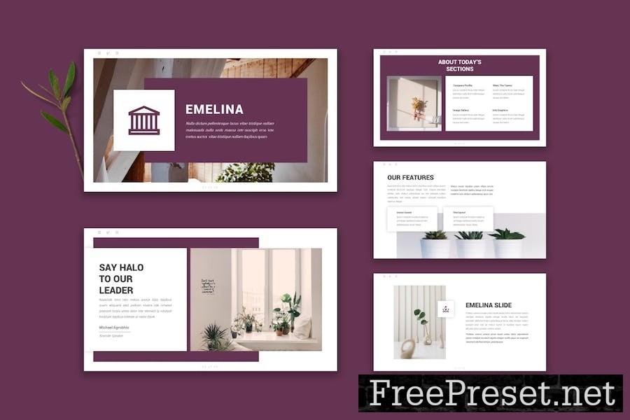 Emelina - Google Slide Template X9BP4M7