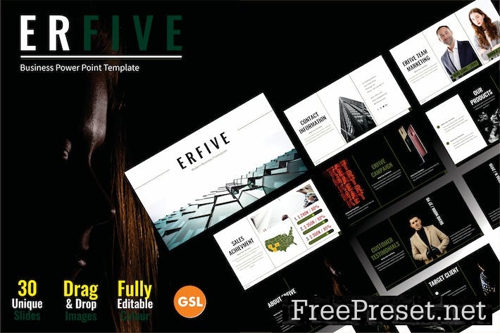 ERFIVE Digital Business Profile Templates GSL 002