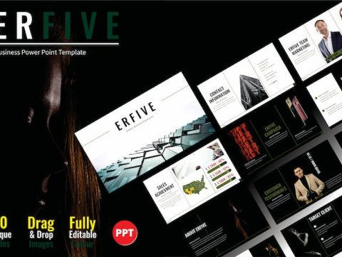 ERFIVE Digital Business Profile Templates PPT 002