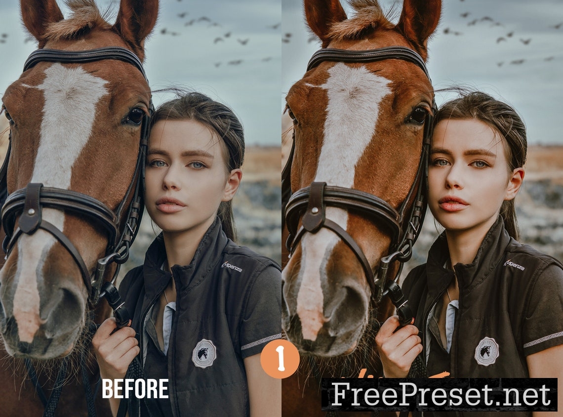 Horse Riding Lightroom Preset Photoshop