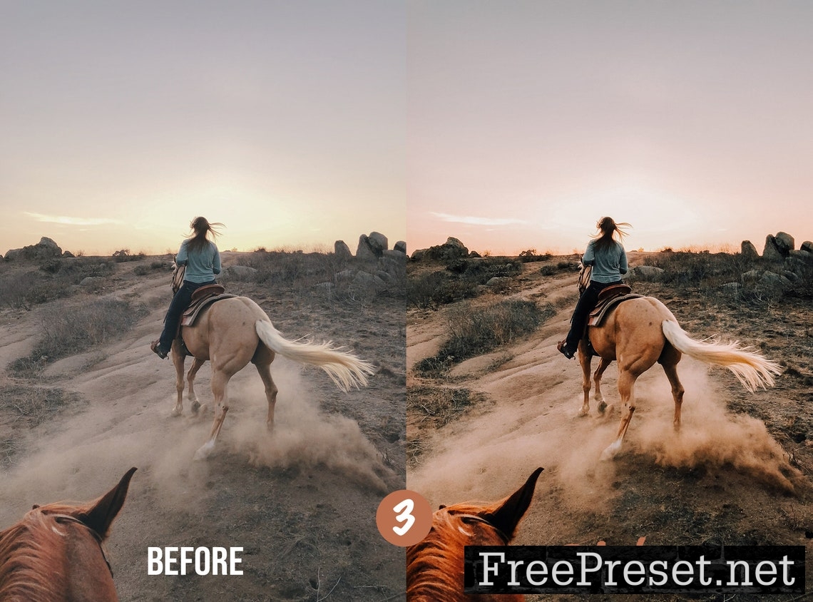 Horse Riding Lightroom Preset Photoshop