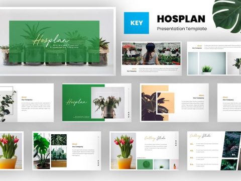 Hosplan - Minimalism Tropical Keynote Template ZTAPQ86