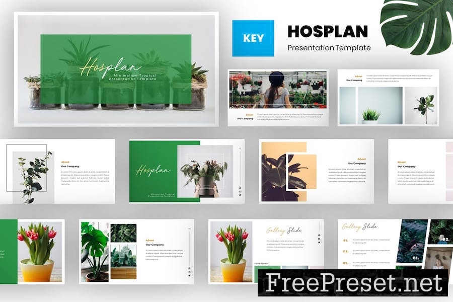 Hosplan - Minimalism Tropical Keynote Template ZTAPQ86