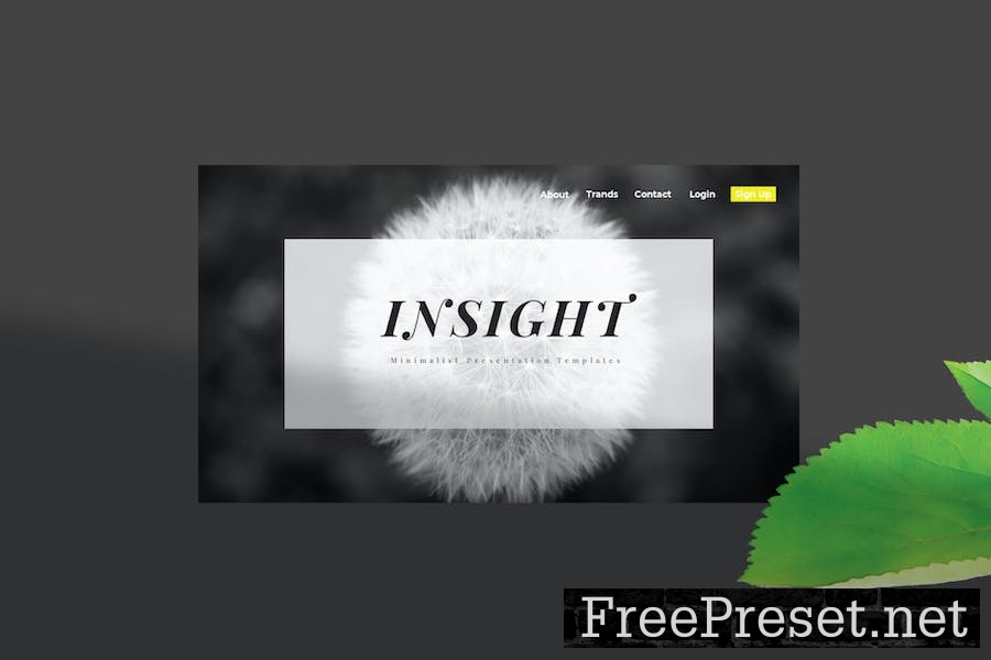 Insight - Keynote Template ZZZ3JPD