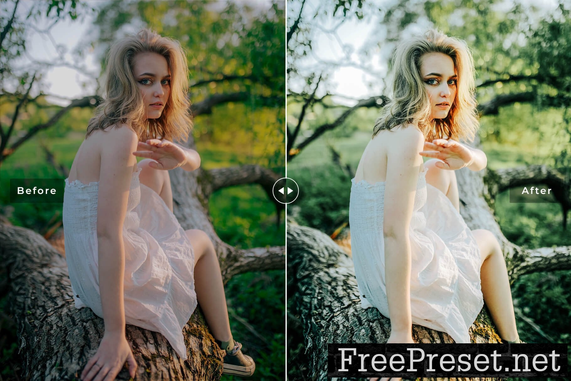 Jadeite Pro Lightroom Presets 10853283