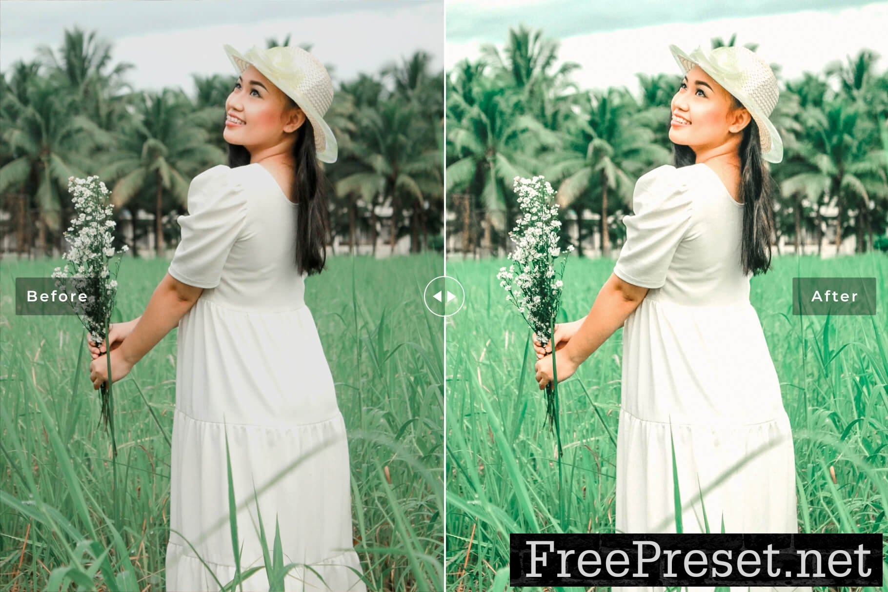 Jadeite Pro Lightroom Presets 10853283