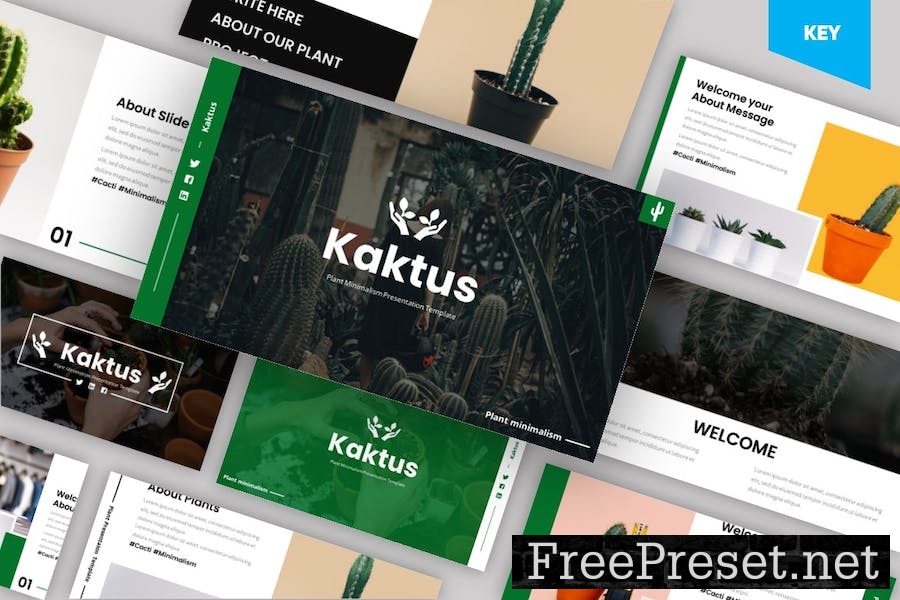 Kaktus - Plant Keynote Template 6RQ952H