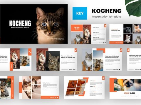 Kocheng - Cat Animal Keynote Template 5KE5XJG