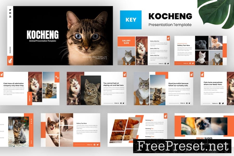 Kocheng - Cat Animal Keynote Template 5KE5XJG