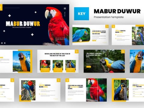 Mabur - Bird Animal Keynote Template VXPN8EW