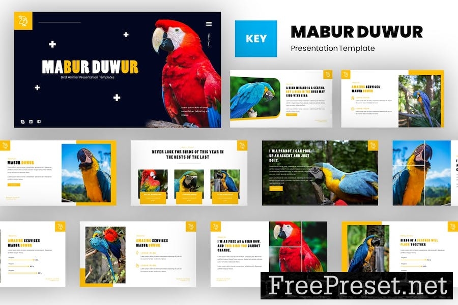 Mabur - Bird Animal Keynote Template VXPN8EW