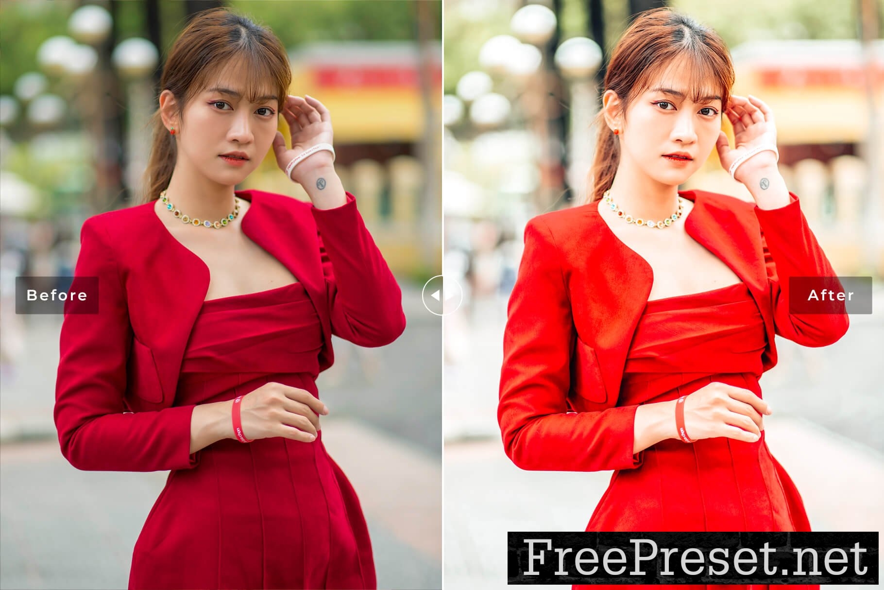 Malaia Garnet Pro Lightroom Presets 10853315