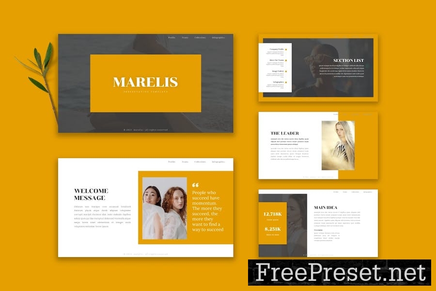 Marelis - Google Slide Template R2HK5HK