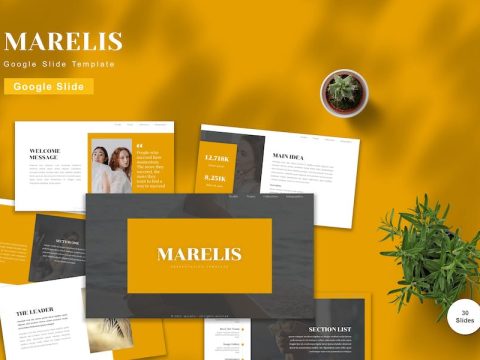 Marelis - Google Slide Template R2HK5HK