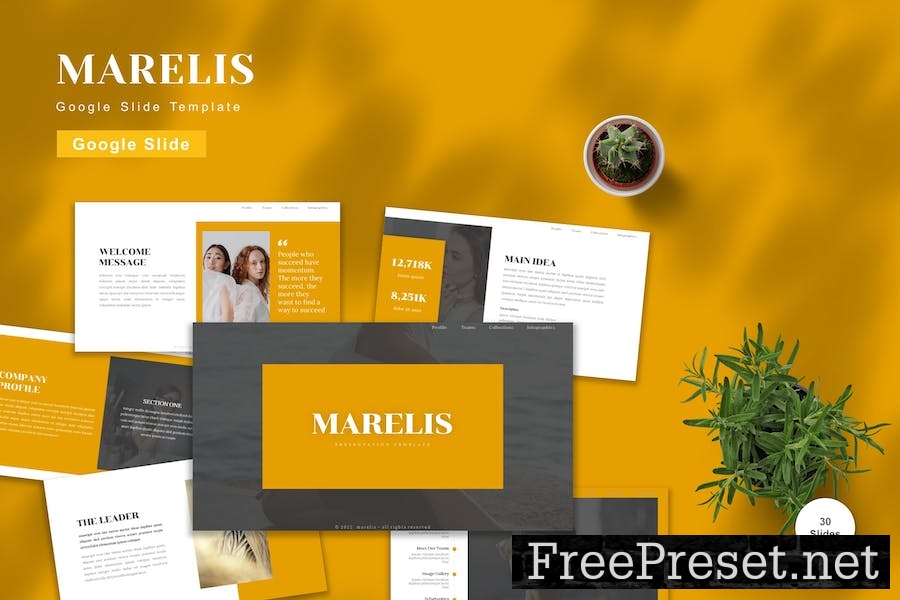 Marelis - Google Slide Template R2HK5HK