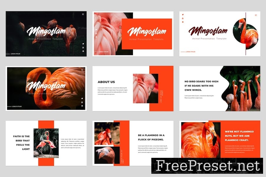 Mingoflam - Bird Animal Keynote Template 2HZQ4JU