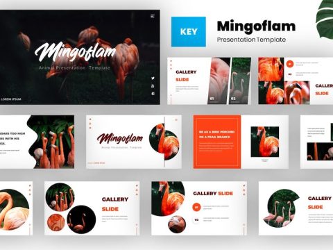 Mingoflam - Bird Animal Keynote Template 2HZQ4JU