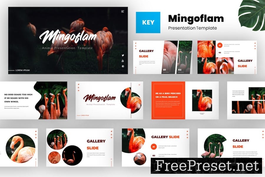 Mingoflam - Bird Animal Keynote Template 2HZQ4JU