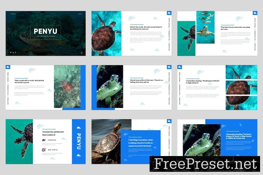 Penyu - Turtle Animal Keynote Template GEC2MRB