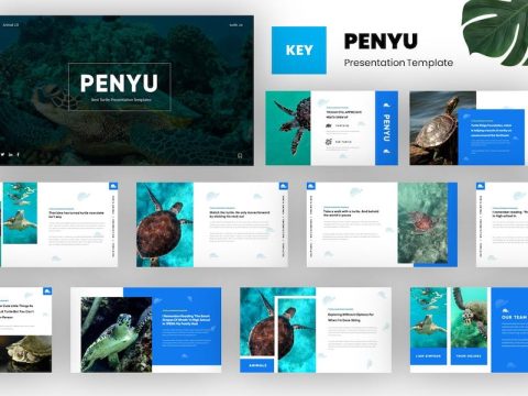 Penyu - Turtle Animal Keynote Template GEC2MRB