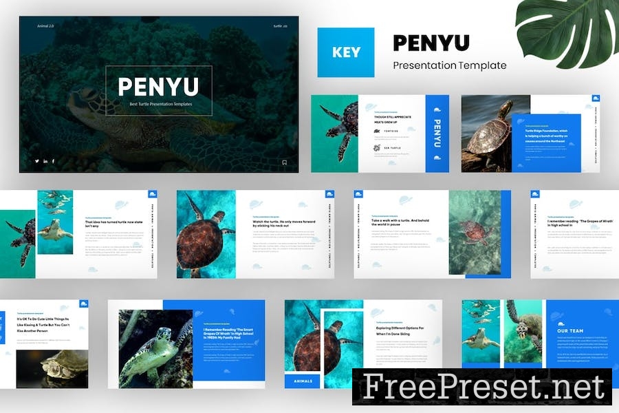 Penyu - Turtle Animal Keynote Template GEC2MRB