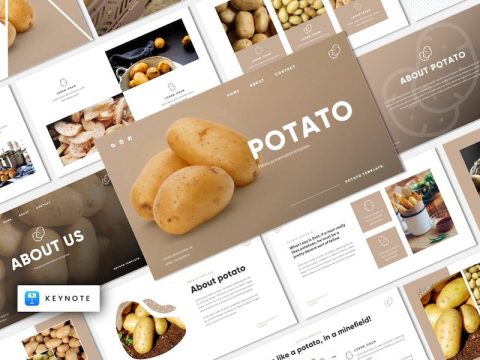 Potato - Grocery & Organic Food Keynote Template P852B9Z