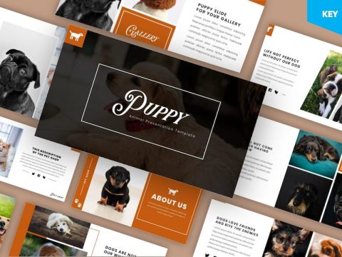 Puppy - Pet Shop Keynote Template J4GJPH2