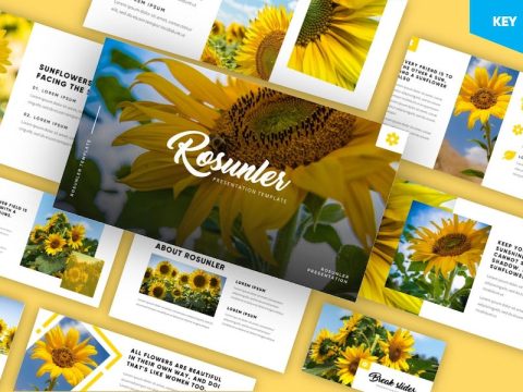 Rosunler - Minimalism Tropical Keynote Template SCMS28B