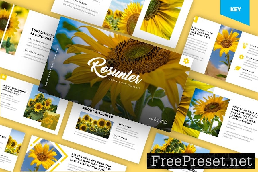 Rosunler - Minimalism Tropical Keynote Template SCMS28B