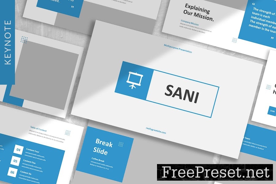 Sani - Business Keynote Template NYNSW88
