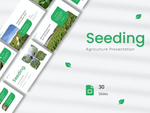 Seeding - Agriculture Presentation Google Slides BCYQQA3