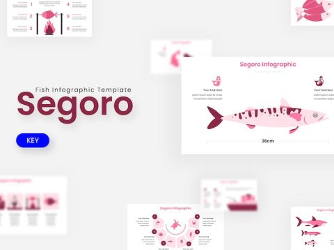 Segoro Infographic - Keynote Template X87SP5D