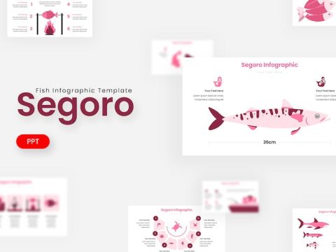 Segoro Infographic - Powerpoint Template H3VTLTT