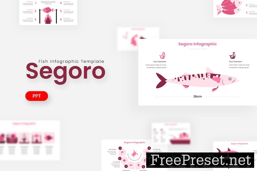 Segoro Infographic - Powerpoint Template H3VTLTT