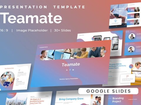 Teamate - Business Agency Company Google Slides 3LSP5V4