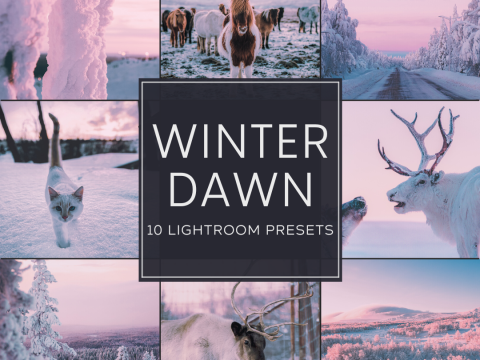 Woodland - Winter Dawn Lightroom Presets Pack